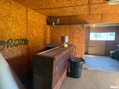 Tiny photo for 1215 FERRY Street, Metropolis, IL 62960 (MLS # EB459928)