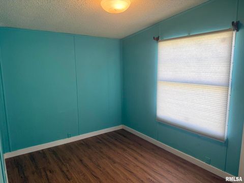 Tiny photo for 1215 FERRY Street, Metropolis, IL 62960 (MLS # EB459928)