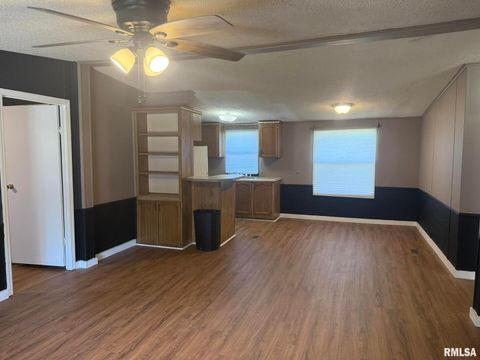 Tiny photo for 1215 FERRY Street, Metropolis, IL 62960 (MLS # EB459928)