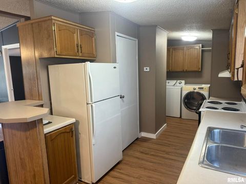 Tiny photo for 1215 FERRY Street, Metropolis, IL 62960 (MLS # EB459928)