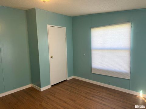 Tiny photo for 1215 FERRY Street, Metropolis, IL 62960 (MLS # EB459928)