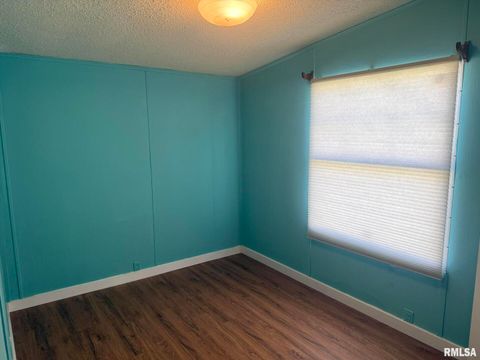 Tiny photo for 1215 FERRY Street, Metropolis, IL 62960 (MLS # EB459928)