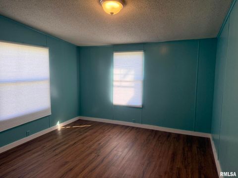 Tiny photo for 1215 FERRY Street, Metropolis, IL 62960 (MLS # EB459928)