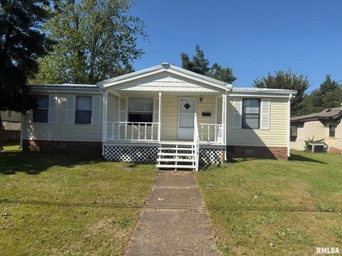 Tiny photo for 1215 FERRY Street, Metropolis, IL 62960 (MLS # EB459928)