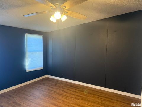 Tiny photo for 1215 FERRY Street, Metropolis, IL 62960 (MLS # EB459928)