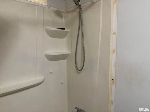 Tiny photo for 1215 FERRY Street, Metropolis, IL 62960 (MLS # EB459928)