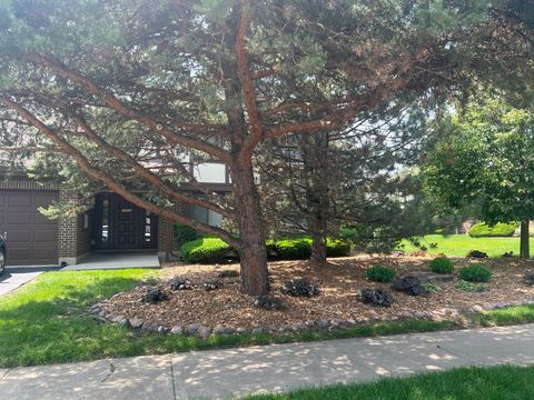 18040 Royal Oak Court 2 Tinley Park IL 60477