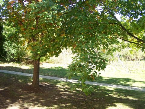 Tiny photo for 4302 Shamrock Lane #2-G, McHenry, IL 60050 (MLS # 12503986)