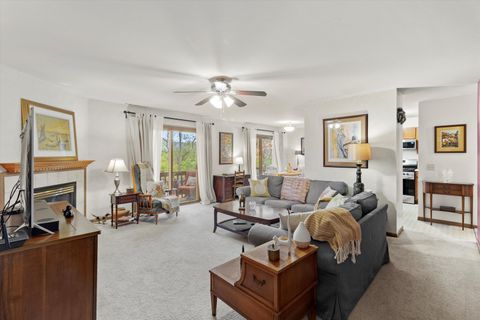 Tiny photo for 1017 Brookdale Drive, Carpentersville, IL 60110 (MLS # 12522275)