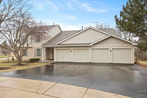 Tiny photo for 330 Buckingham Circle #C, Elgin, IL 60120 (MLS # 12543020)
