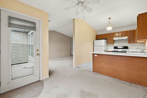 Tiny photo for 330 Buckingham Circle #C, Elgin, IL 60120 (MLS # 12543020)