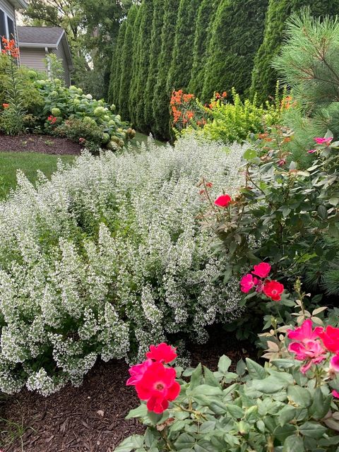 Tiny photo for 42065 N Old Lake Avenue, Antioch, IL 60002 (MLS # 12606977)