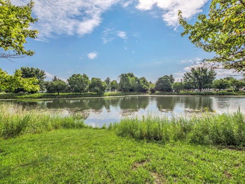 Tiny photo for 7323 Grandview Court #7323, Carpentersville, IL 60110 (MLS # 12657664)