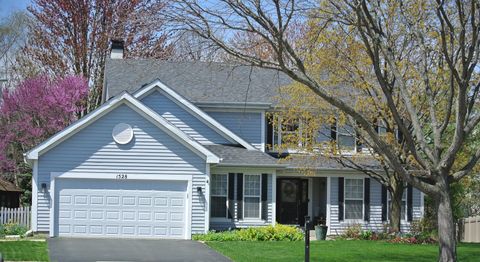 1528 Derby Lane Bartlett IL 60103