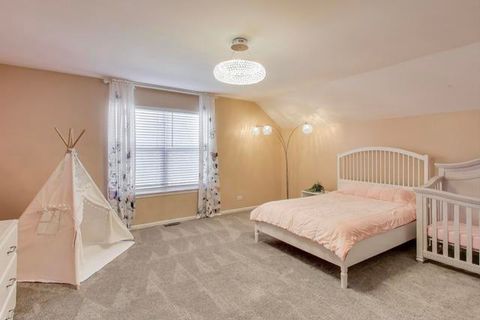 Tiny photo for 13204 Cinnamon Circle, Plainfield, IL 60585 (MLS # 12551276)