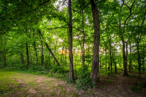 Tiny photo for 205 Blackhawk Drive, Carbondale, IL 62901 (MLS # 12662238)