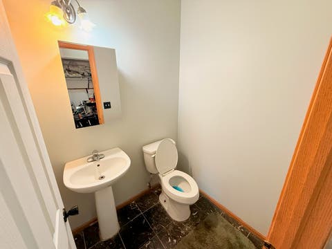 Tiny photo for 911 Berry Path Trail #911, Matteson, IL 60443 (MLS # 12701719)