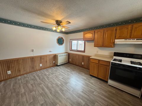 Tiny photo for 507 Jefferson Street, Hanover, IL 61041 (MLS # 12559498)
