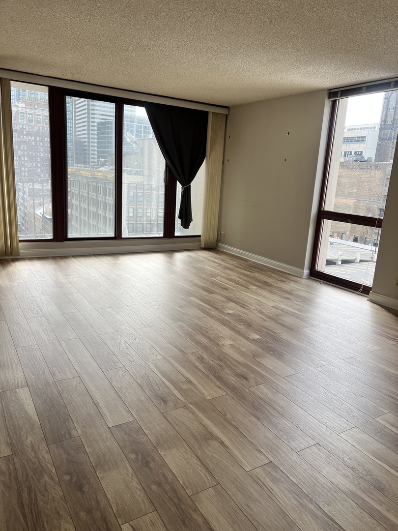 200 N Dearborn Street 1703