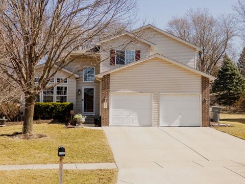 24502 Lakewoods Lane Shorewood IL 60404