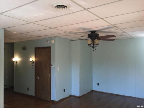 Tiny photo for 203 E Whitlock Street, Jonesboro, IL 62952 (MLS # QC4266986)