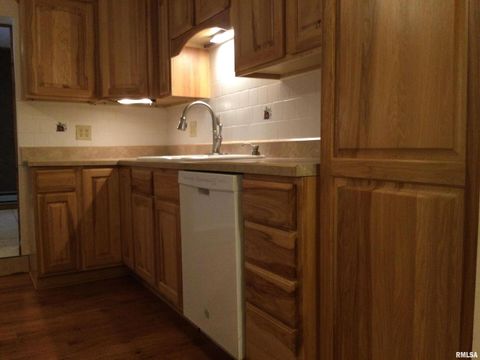 Tiny photo for 203 E Whitlock Street, Jonesboro, IL 62952 (MLS # QC4266986)