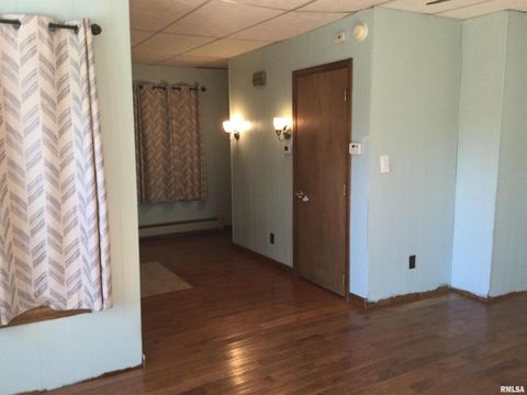 Tiny photo for 203 E Whitlock Street, Jonesboro, IL 62952 (MLS # QC4266986)