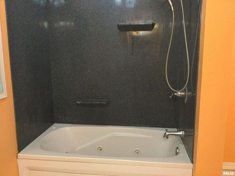 Tiny photo for 203 E Whitlock Street, Jonesboro, IL 62952 (MLS # QC4266986)