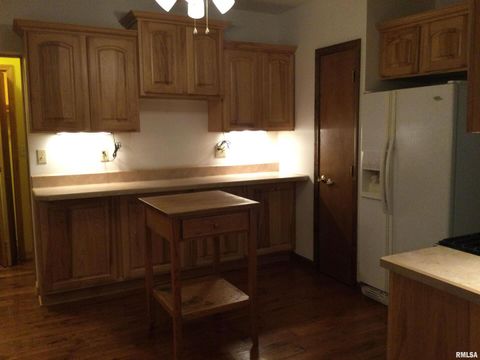 Tiny photo for 203 E Whitlock Street, Jonesboro, IL 62952 (MLS # QC4266986)