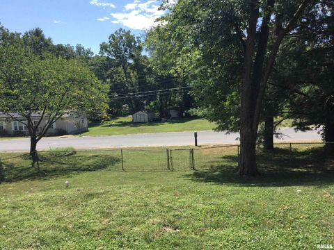 Tiny photo for 203 E Whitlock Street, Jonesboro, IL 62952 (MLS # QC4266986)