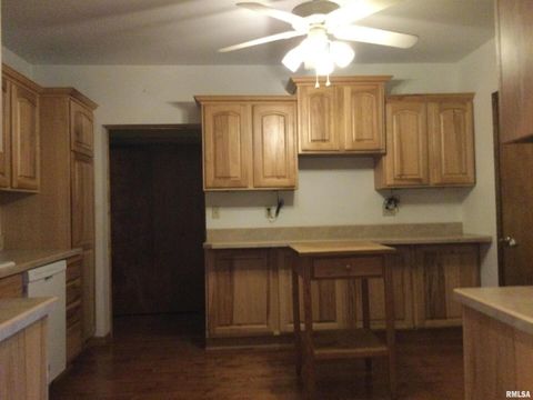 Tiny photo for 203 E Whitlock Street, Jonesboro, IL 62952 (MLS # QC4266986)