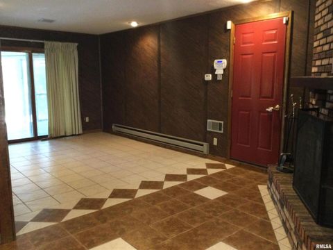 Tiny photo for 203 E Whitlock Street, Jonesboro, IL 62952 (MLS # QC4266986)