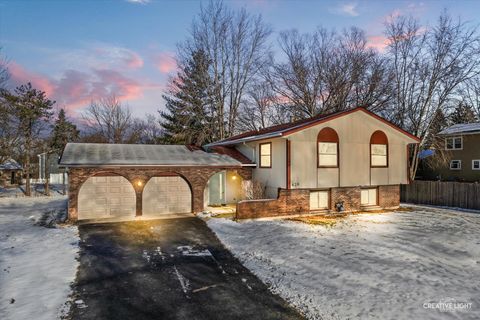 425 Carriage Hill Road Naperville IL 60565
