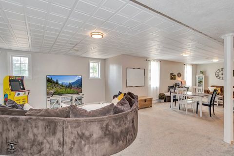 Tiny photo for 1037 Deer Trail, Bourbonnais, IL 60914 (MLS # 12488501)