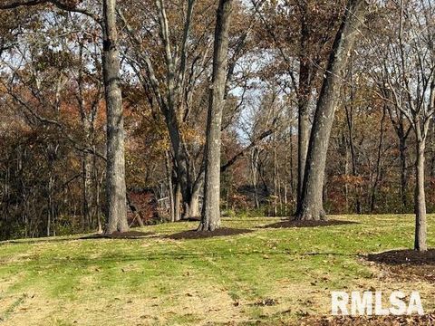 Tiny photo for 16429 N Hawthorne Hills Drive, Mt Vernon, IL 62864 (MLS # EB460518)