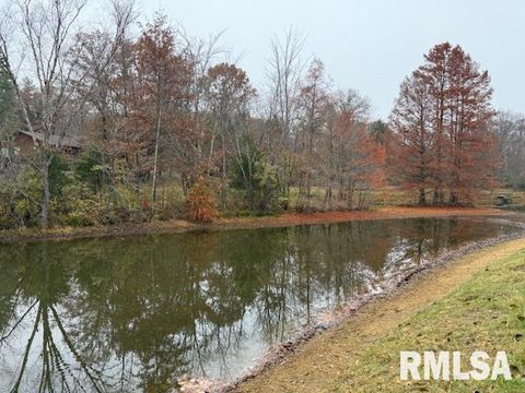 Tiny photo for 16429 N Hawthorne Hills Drive, Mt Vernon, IL 62864 (MLS # EB460518)