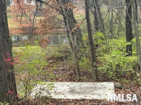 Tiny photo for 16429 N Hawthorne Hills Drive, Mt Vernon, IL 62864 (MLS # EB460518)