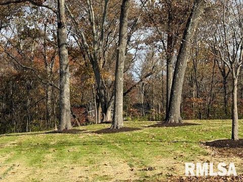 Tiny photo for 16429 N Hawthorne Hills Drive, Mt Vernon, IL 62864 (MLS # EB460518)