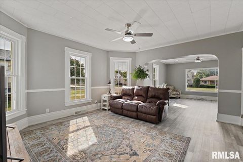 Tiny photo for 608 S OAKWOOD Avenue, Geneseo, IL 61254 (MLS # QC4267823)