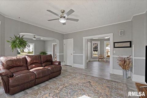 Tiny photo for 608 S OAKWOOD Avenue, Geneseo, IL 61254 (MLS # QC4267823)