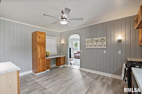 Tiny photo for 608 S OAKWOOD Avenue, Geneseo, IL 61254 (MLS # QC4267823)