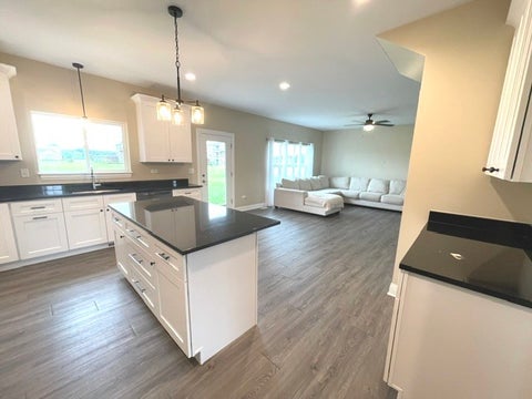 Tiny photo for 24509 S Saint Paul Avenue, Channahon, IL 60410 (MLS # 12771034)