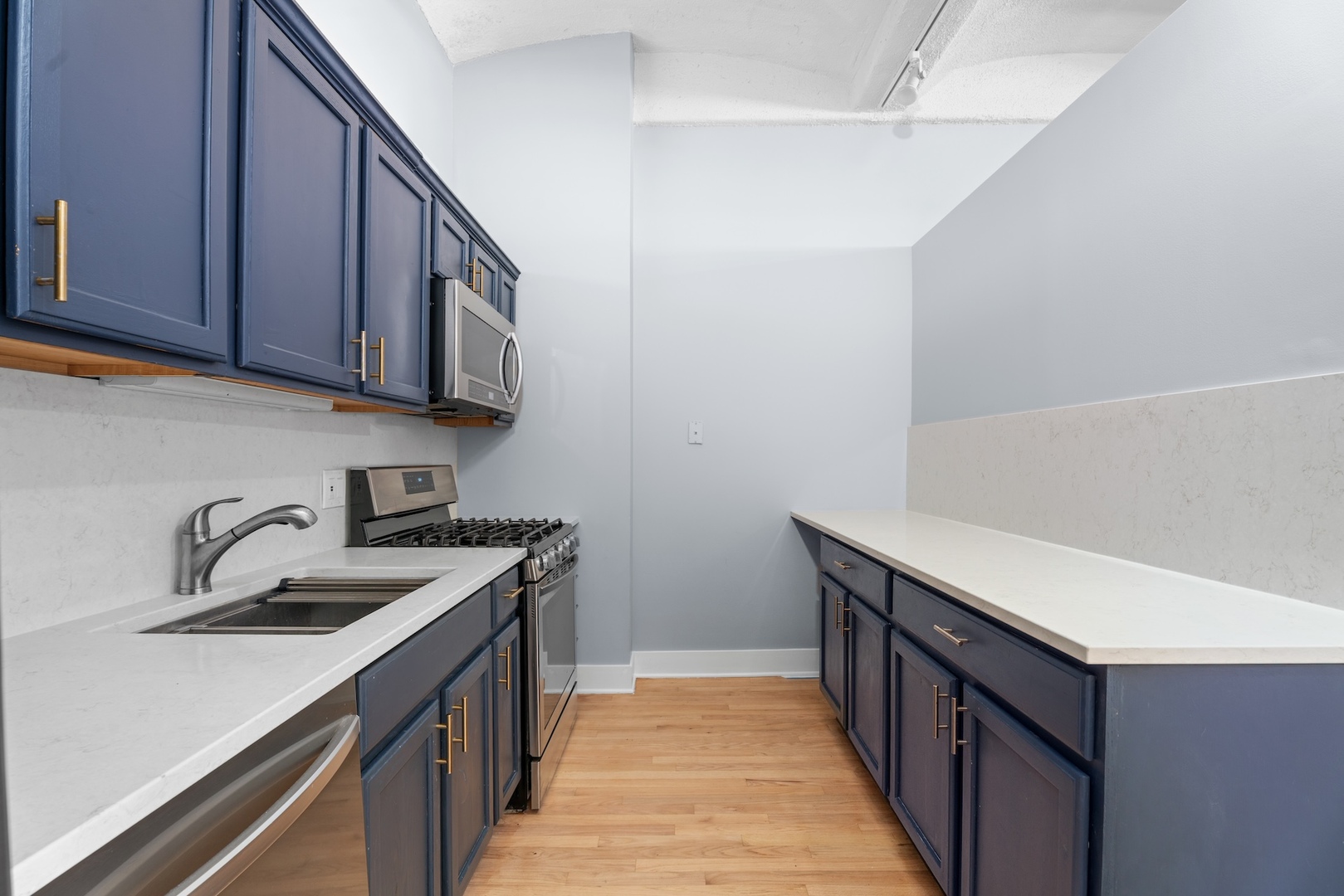 633 S Plymouth Court 1009