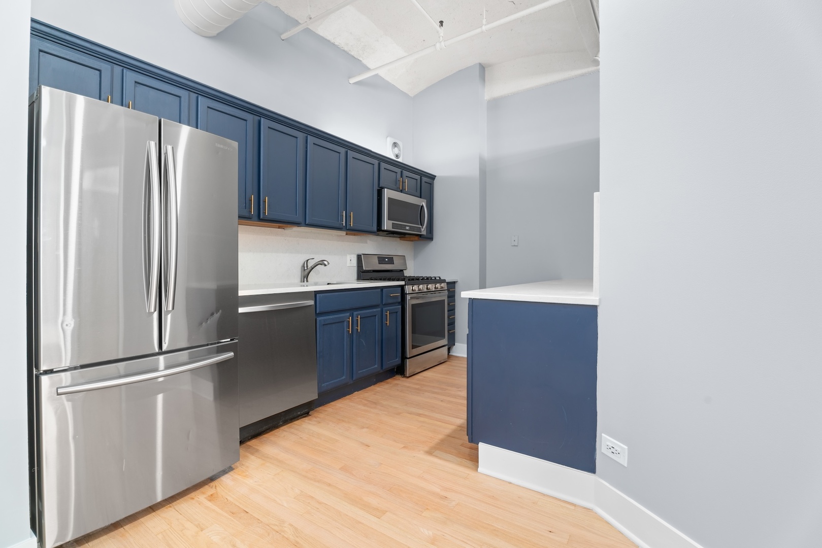 633 S Plymouth Court 1009