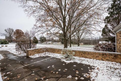 Tiny photo for 105 Woodlake Lane, Eldorado, IL 62930 (MLS # EB460662)