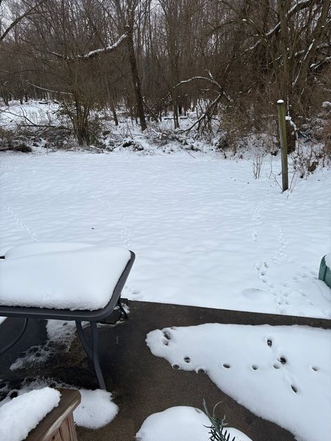 Tiny photo for 379 W North Street, Watseka, IL 60970 (MLS # 12528750)