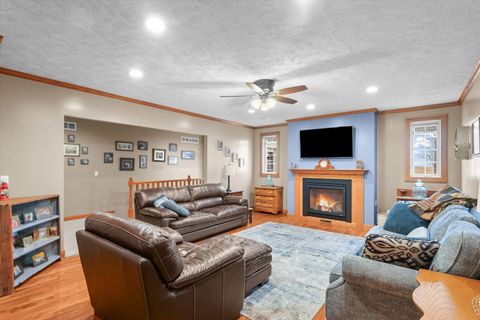 Tiny photo for 540 E 50n Road, Gibson City, IL 60936 (MLS # 12577292)