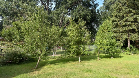 Tiny photo for 1161 S Edgewood Avenue, Lombard, IL 60148 (MLS # 12758922)