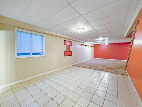 Tiny photo for 409 Betty Court, Fisher, IL 61843 (MLS # 12635725)