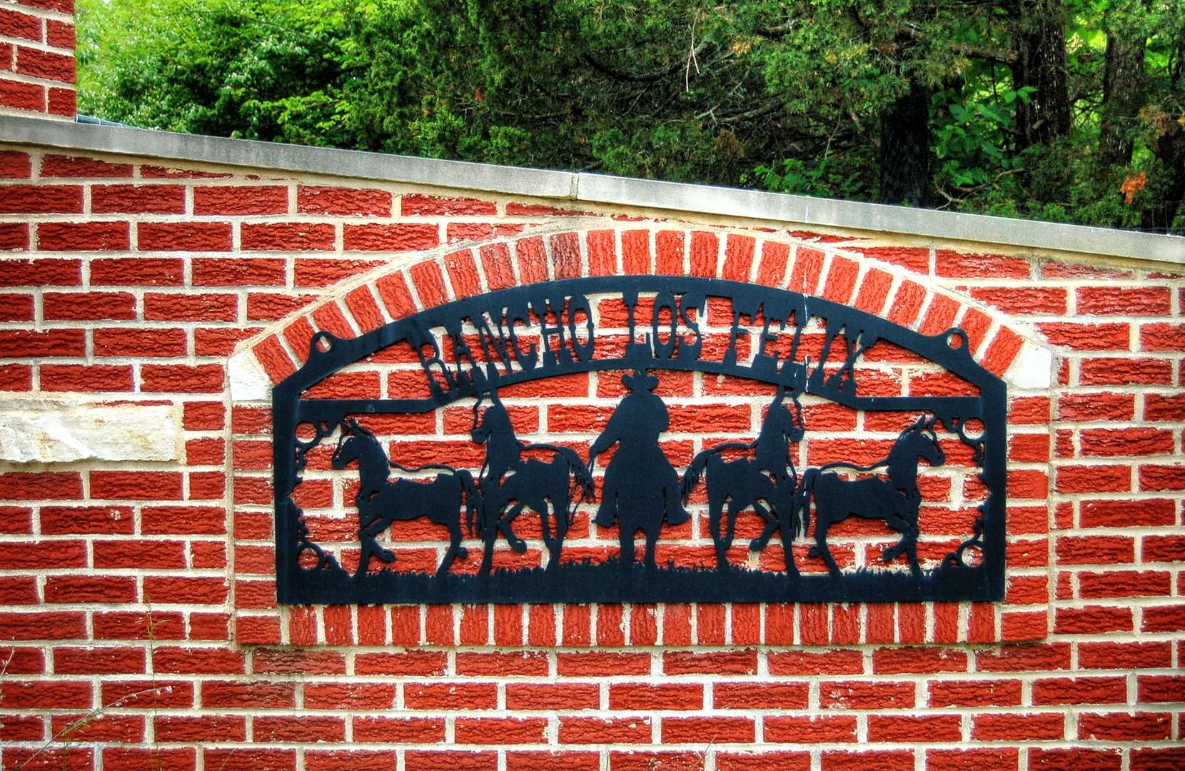 3645 Pine Bluff Road